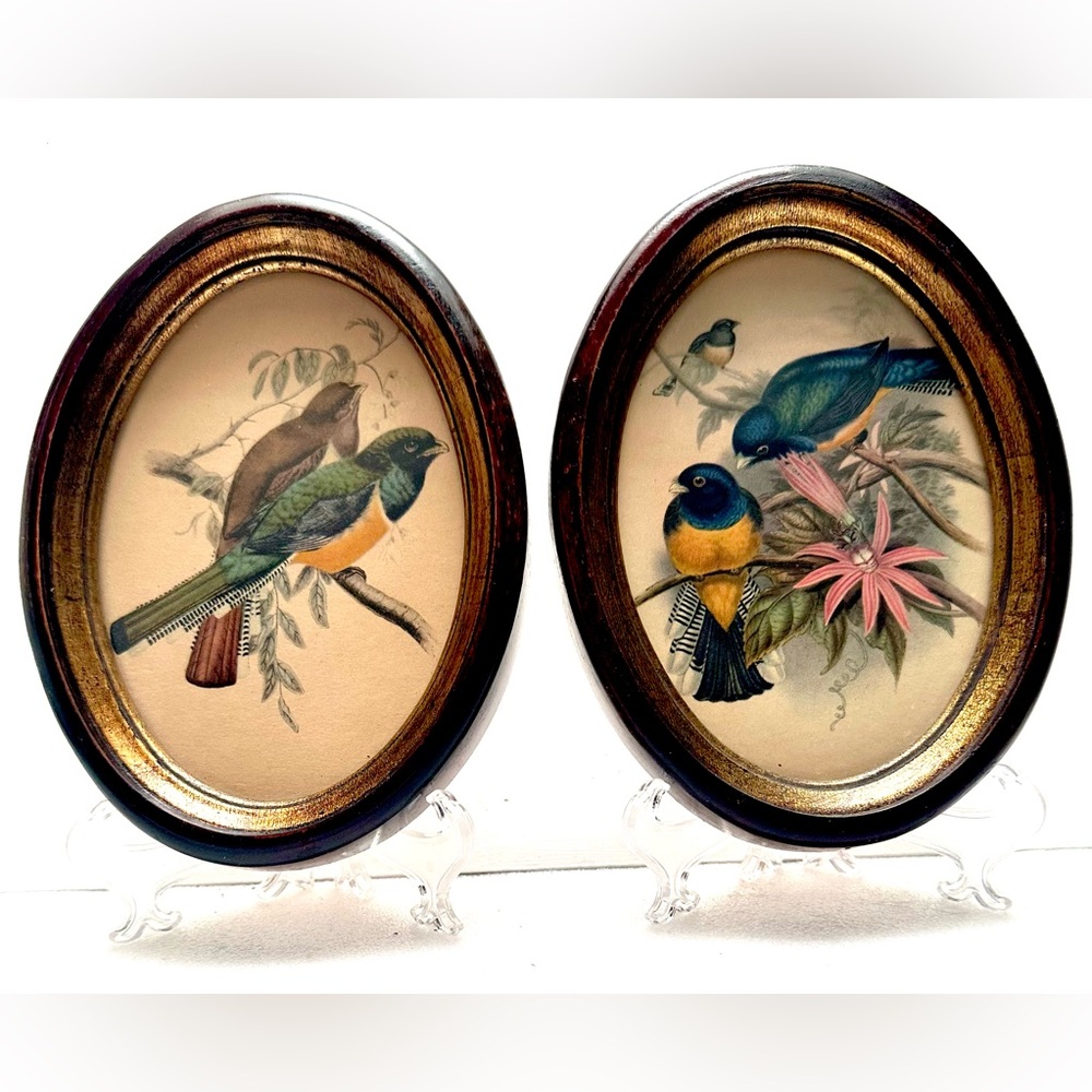 2 MINIATURE FRAMED Wood Antique John Gould lithograph Trogon Bird Prints